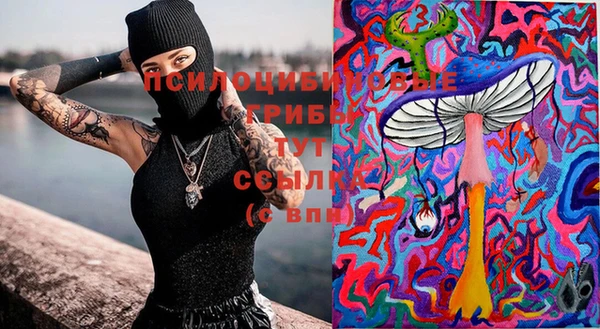 гидропоника Вяземский